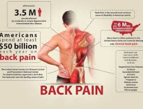 Back Pain 101 – Basics