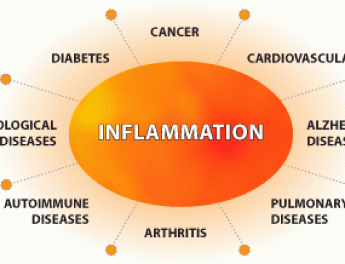 Inflammation 101 – The Basics