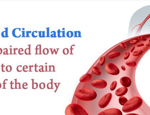 Improve Your Blood Circulation Naturally