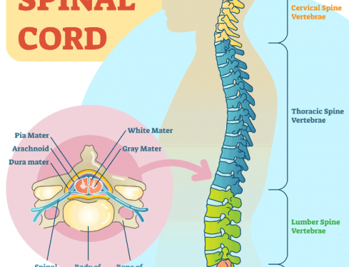 Cancer of the Spine – Part One